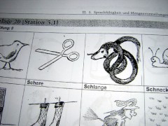 Schlange oder Slange, das ist gar nicht mal so sehr die Frage wie: Schere oder schneiden?